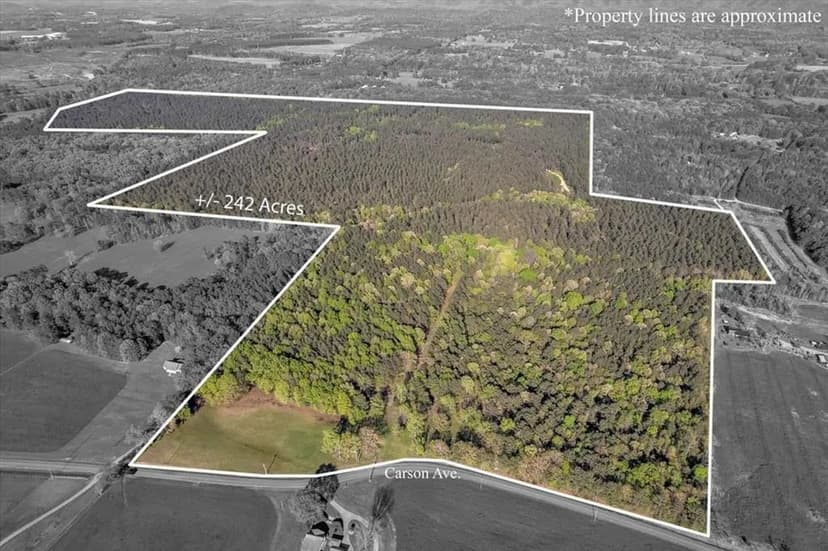 Property from 242 AC Maddron Road - KW