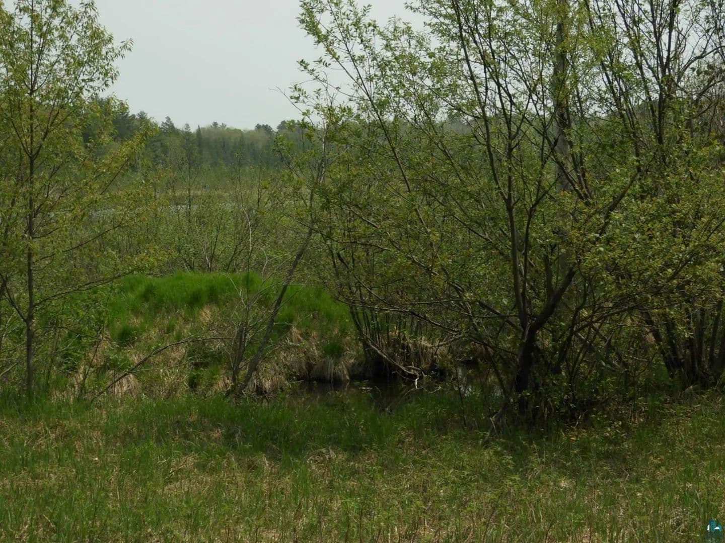 Vacant Land in Iron River - Iron River, Wisconsin, 54847