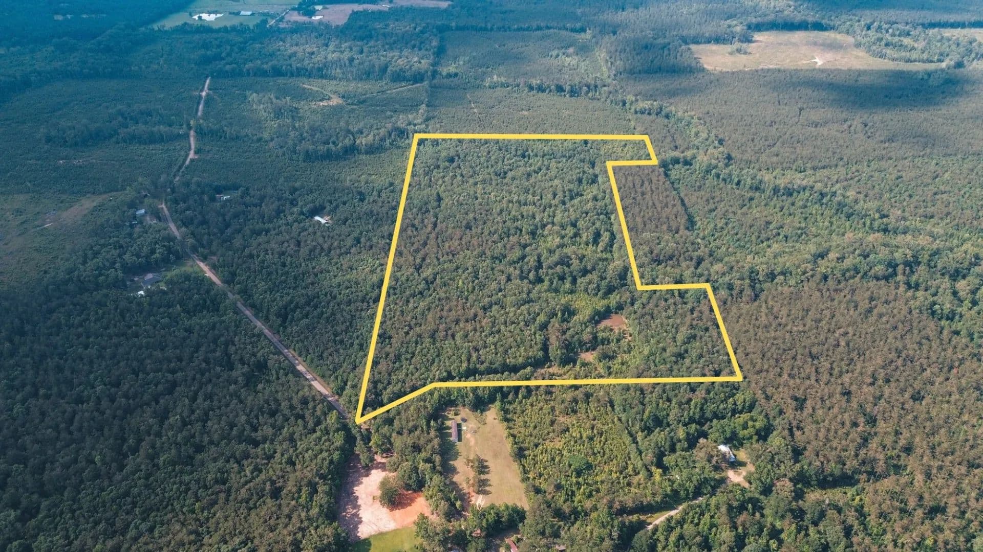 Weston 53 – Timber & Hunting Land in Louisiana - Weston, Louisiana, 71251