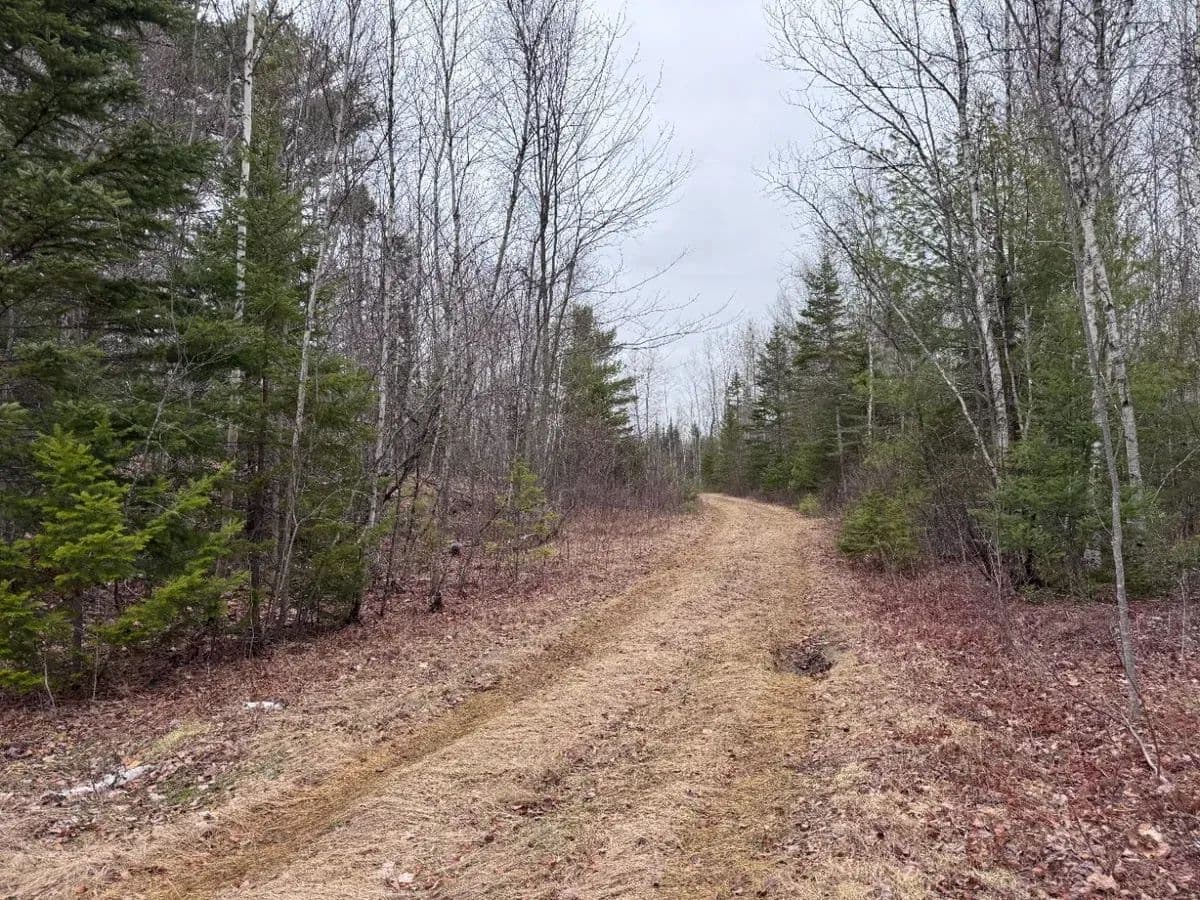 Greenbush, Wolf Run Trail & Otter Trail Lots - Greenbush, Maine, 04418