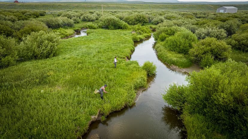 Medicine Bow Ranch 