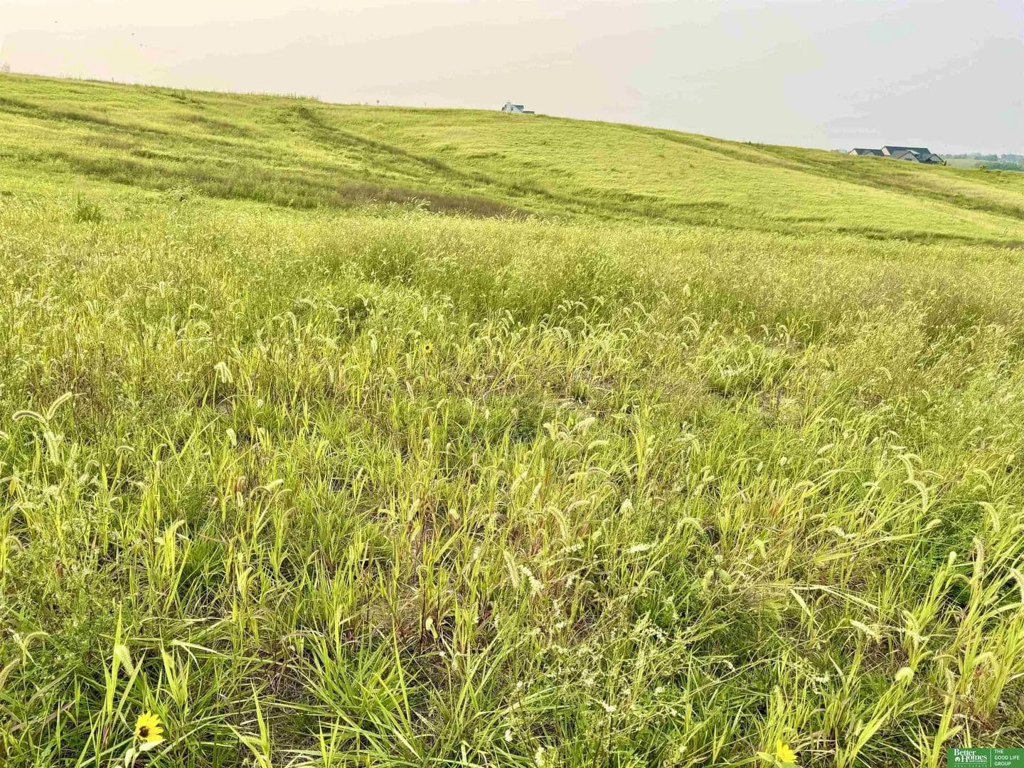 Lots & Land-Other in Gretna - Gretna, Nebraska, 68028