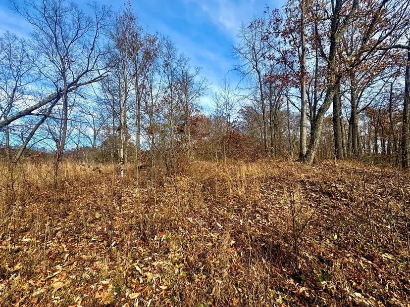 Lots & Land-Other in Raccoon