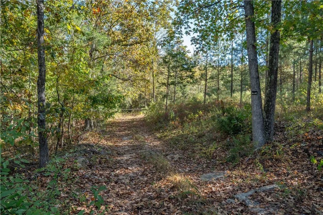 Vacant Land in Pauline - Pauline, South Carolina, 29374