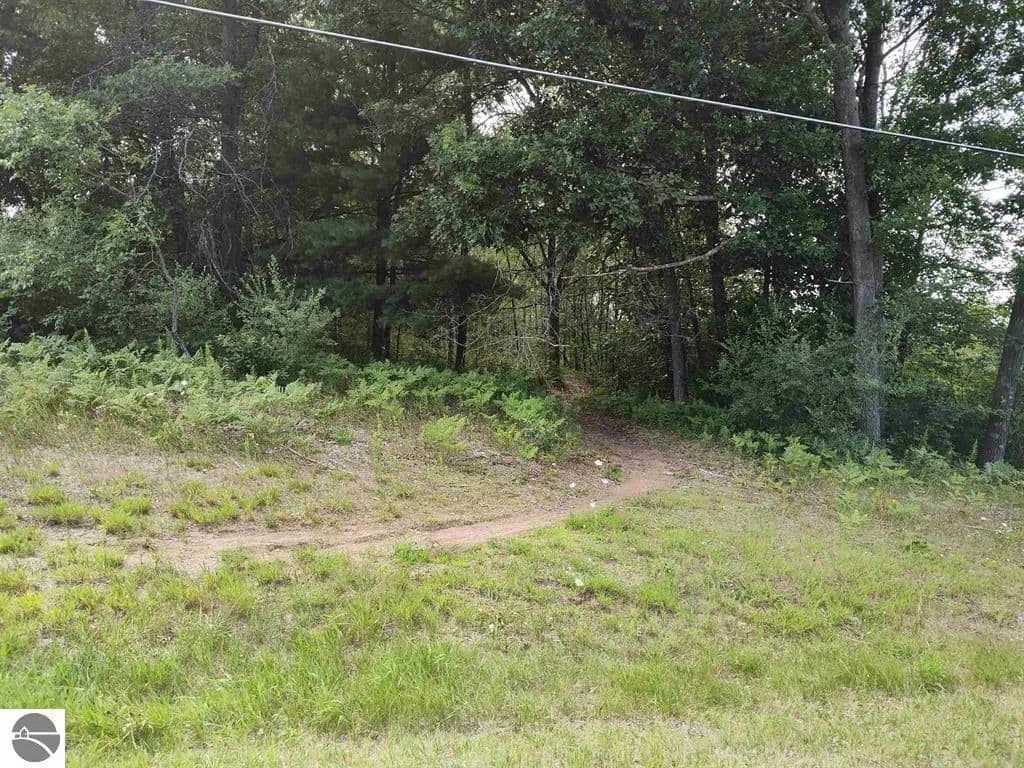 Vacant Land in Farwell - Farwell, Michigan, 48622