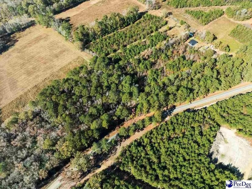 Lots & Land-Other in Marion