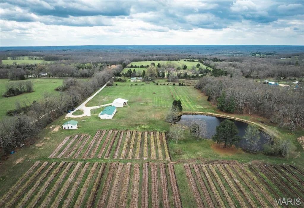 14.7 Acres of Land for Sale in Leasburg, MO - Leasburg, Missouri, 65535
