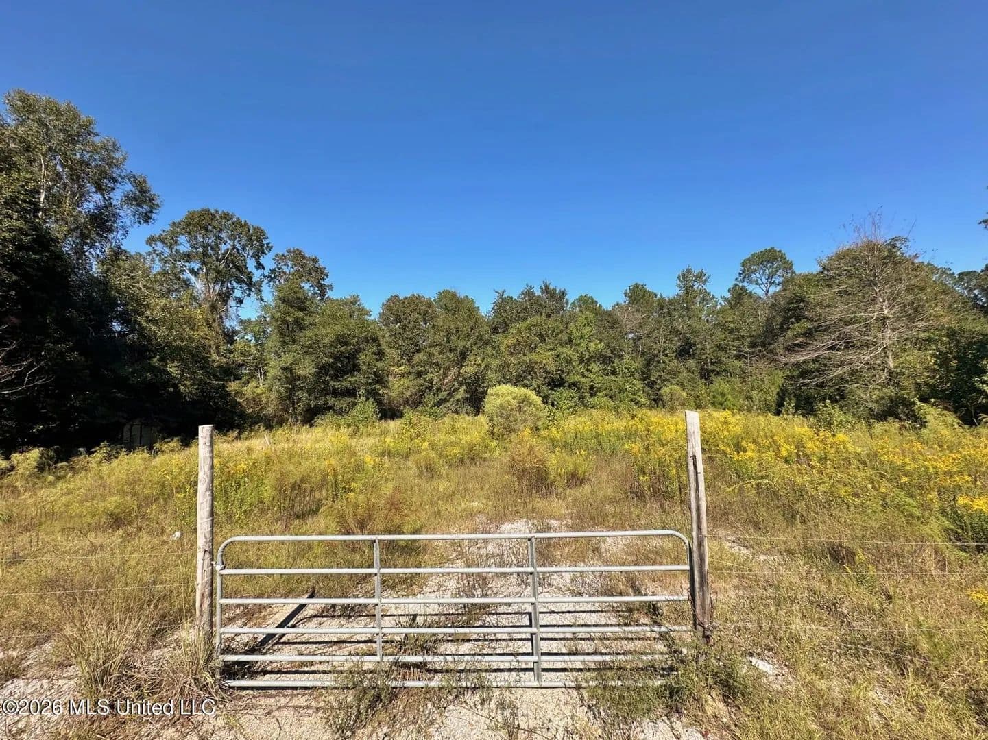 Lots & Land-Other in Beaumont - Beaumont, Mississippi, 39423