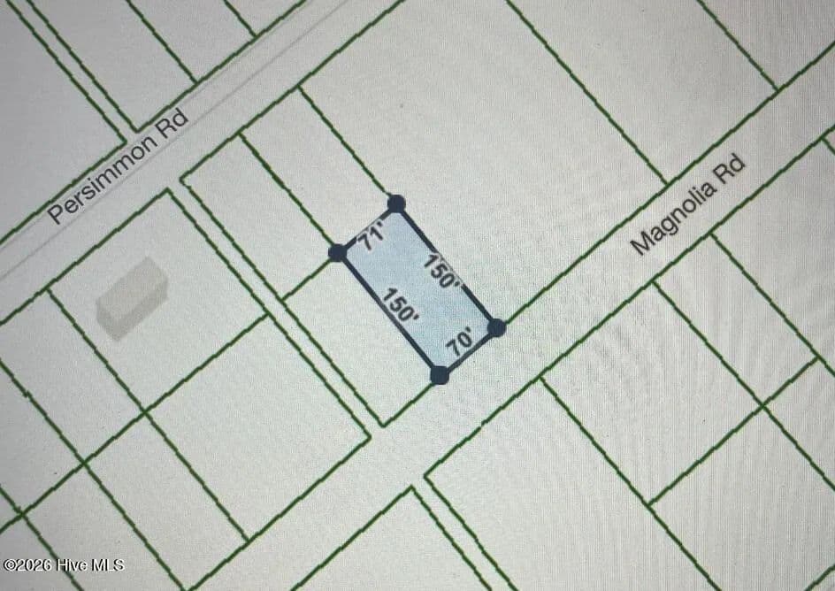 Vacant Land in Boiling Spring Lakes - Boiling Spring Lakes, North Carolina, 28461