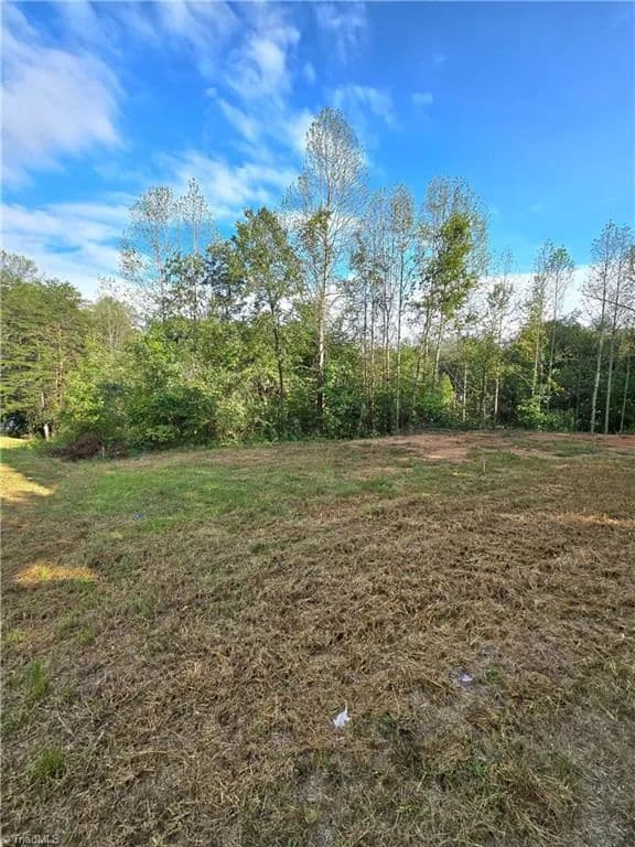Land -Single Family Acreage in Walkertown - Walkertown, North Carolina, 27051