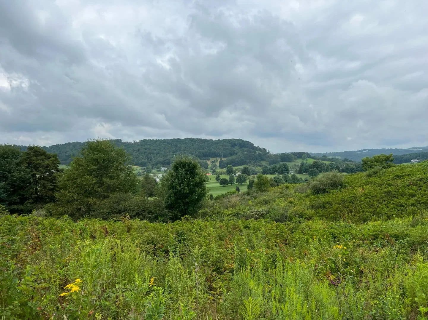 Lots & Land-Other in Peterstown - Peterstown, West Virginia, 24963