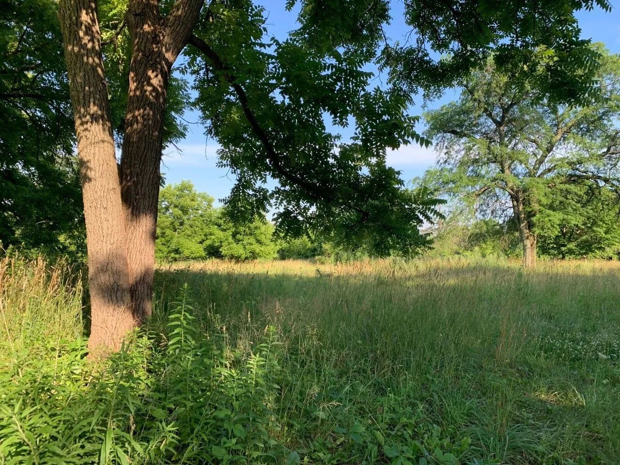 Vacant Land in Long Grove - Long Grove, Illinois, 60047