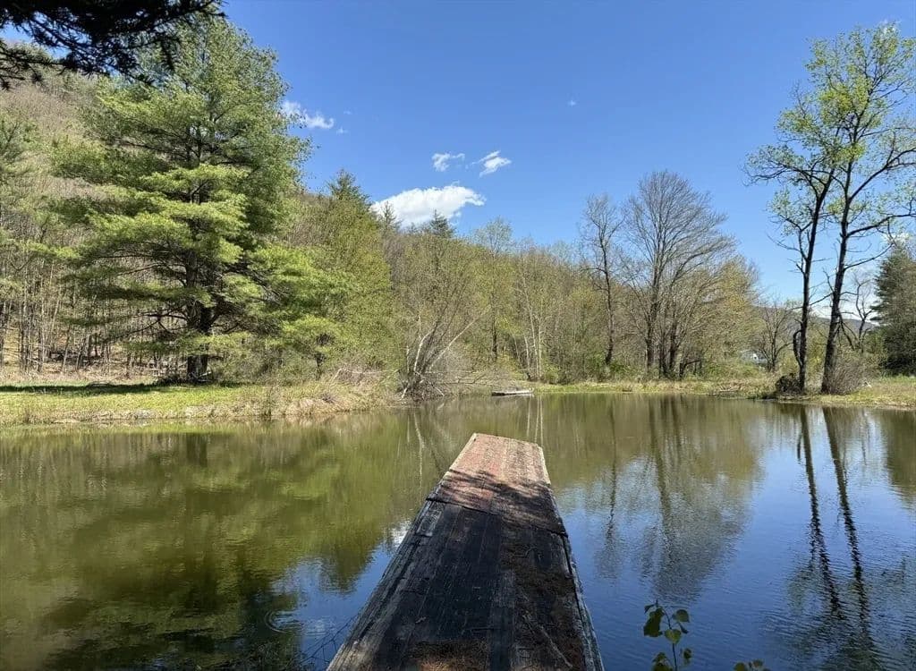 58.9 Acres of Land for Sale in Charlemont, MA - Charlemont, Massachusetts, 01339