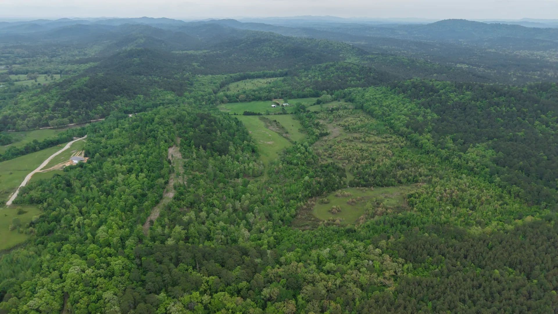 54 Acres in Montgomery County, AR  - Oden, Arkansas, 71961
