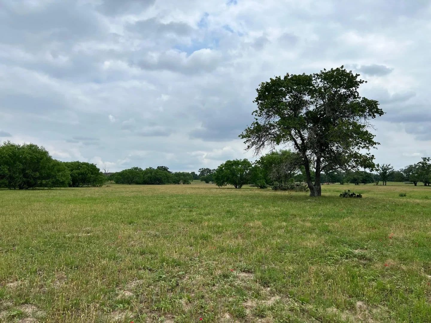 Vacant Land in Luling - Luling, Texas, 78648