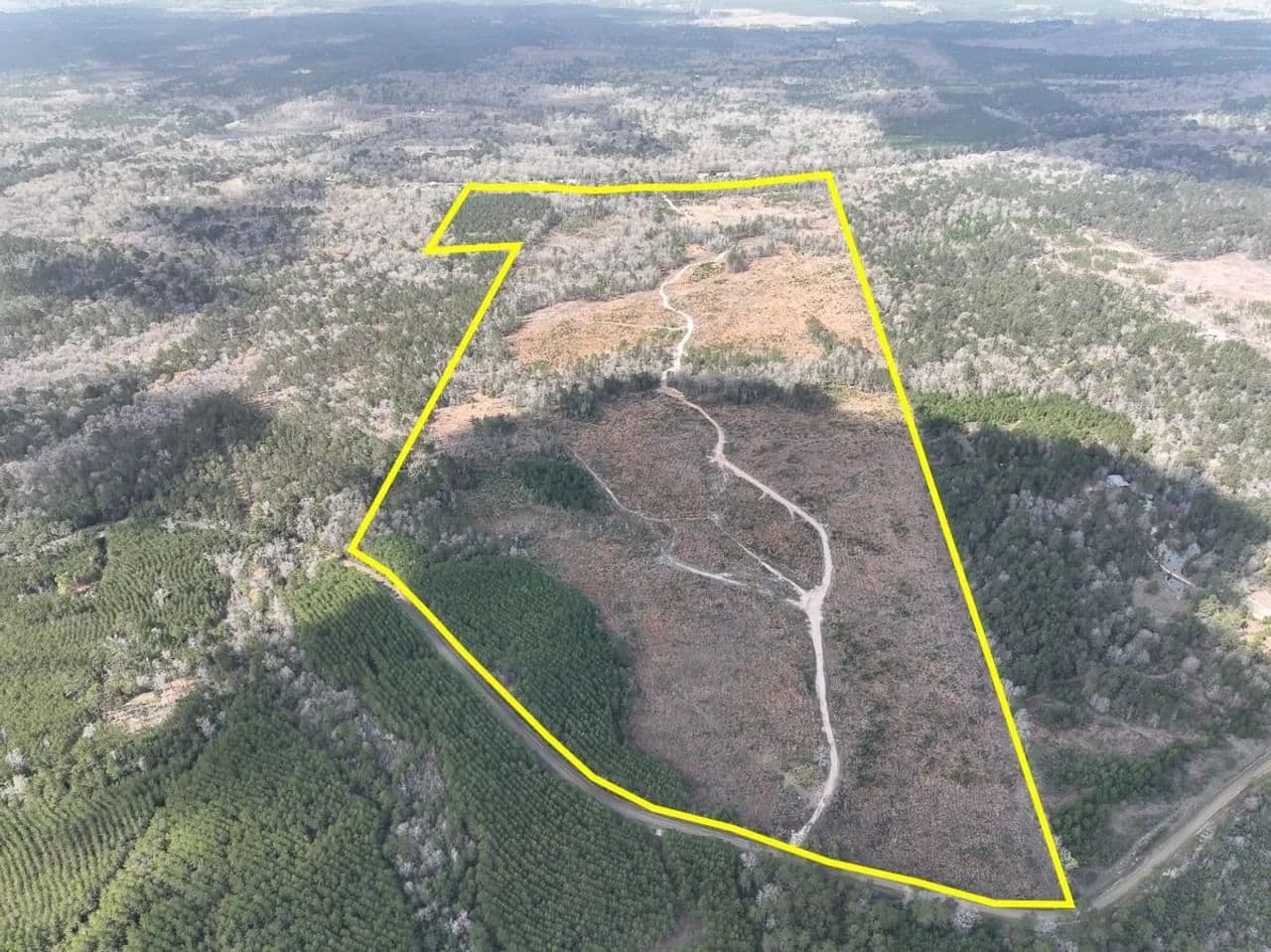 203 Acres | Neches River Front | County Road 37 - Jasper, Texas, 75951
