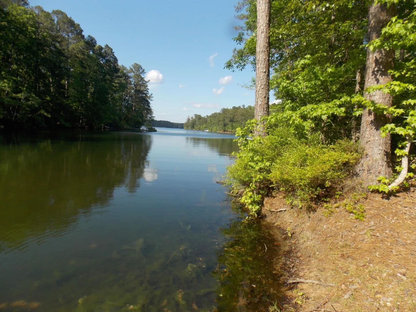 Lots & Land-Other in Lincolnton - Lincolnton, Georgia, 30817