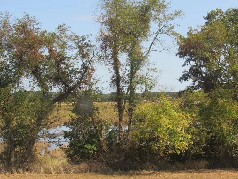 Land -Single Family Acreage in New Church