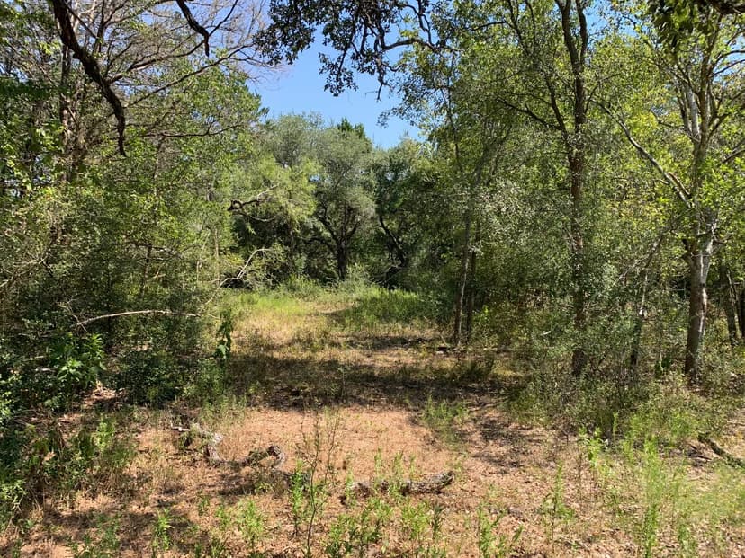 South Fork 60 Acres - Creek/Pond - Will Divide