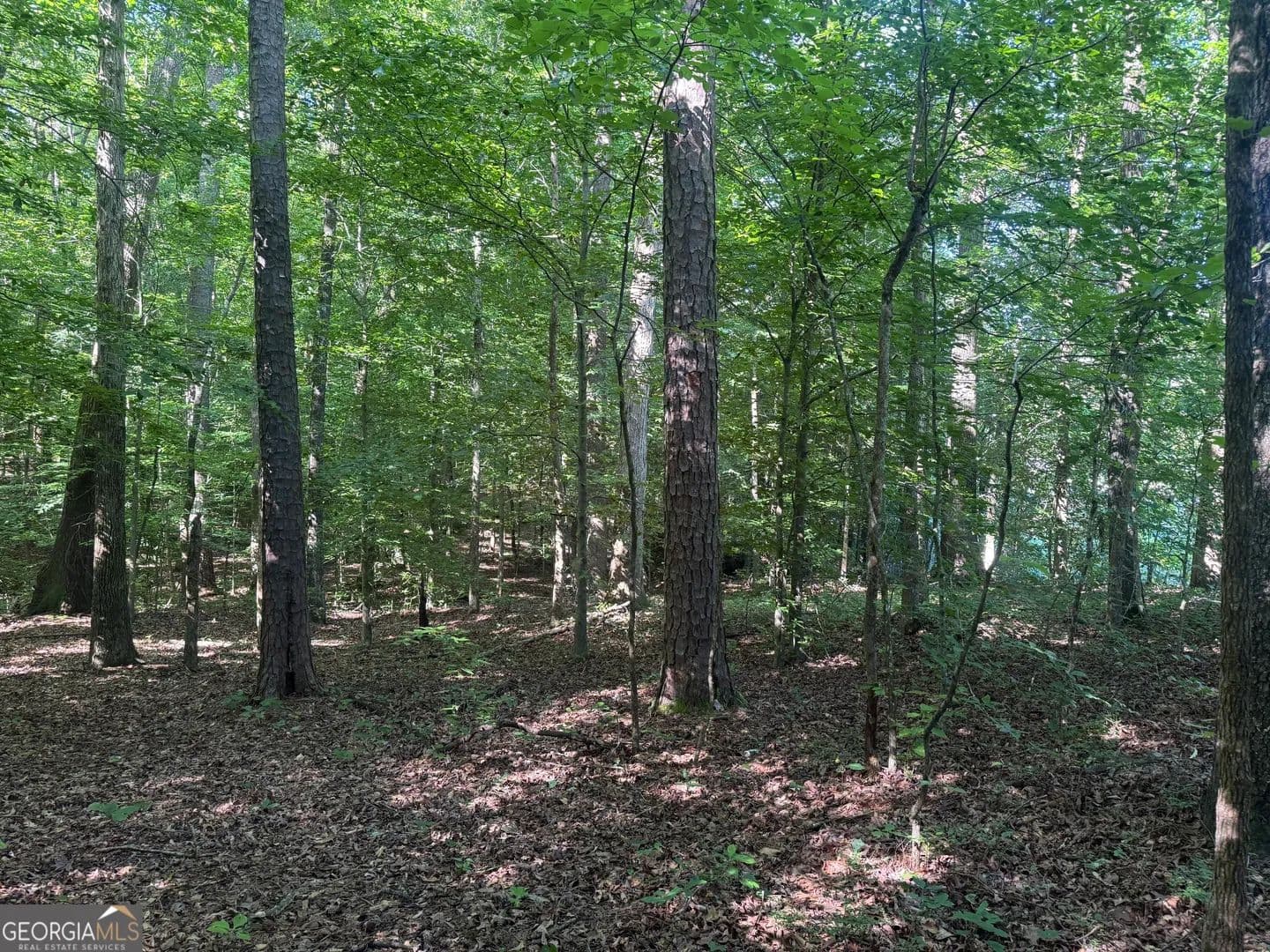 Property from 435 N 27 Highway - KW - Roopville, Georgia, 30170