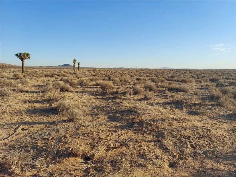 Property from 0 Boron Frontage RD - KW