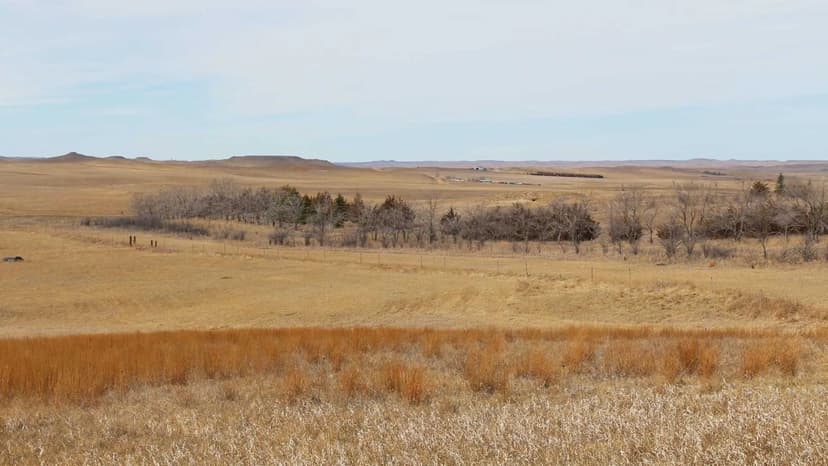 Bakke Road Hunting Property