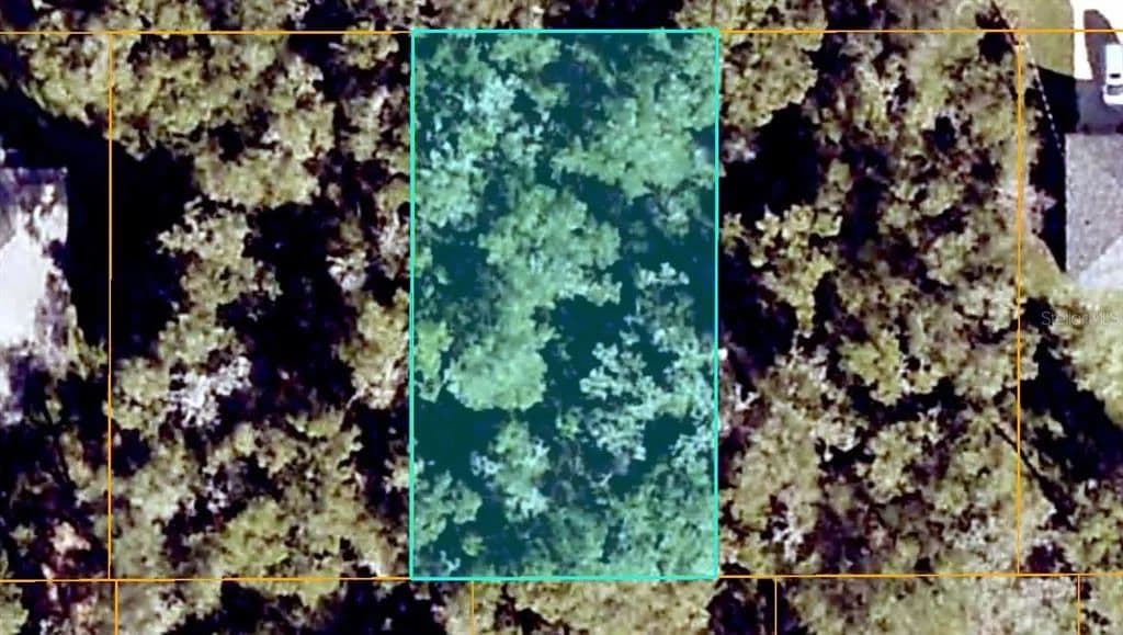 Vacant Land in Summerfield - Summerfield, Florida, 34491