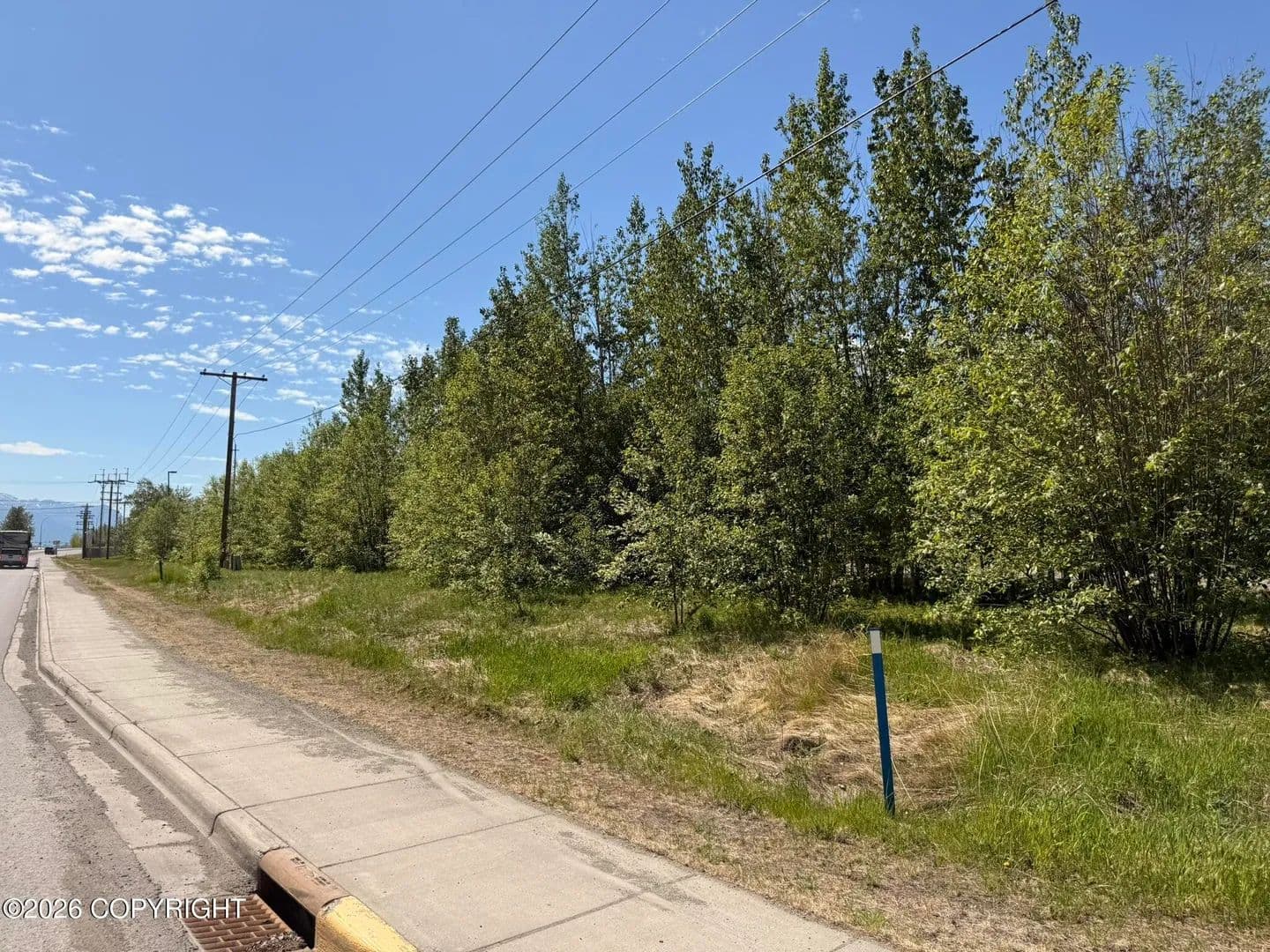 Vacant Land in Palmer - Palmer, Alaska, 99645