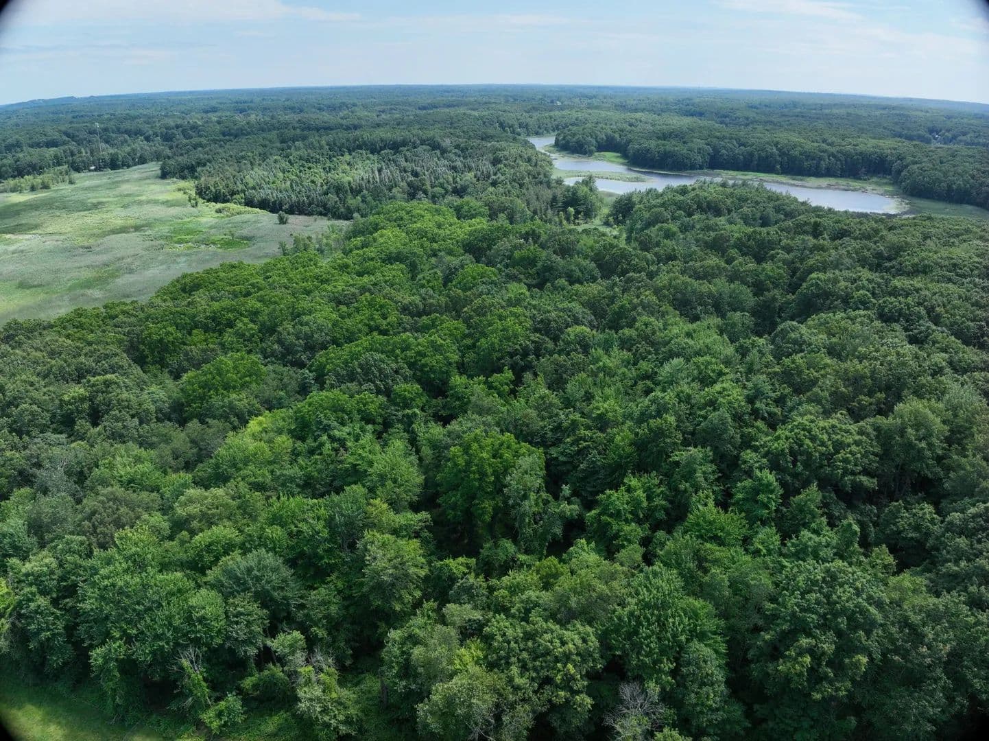 Rochester Road – 80 Acres - Dryden, Michigan, 48428