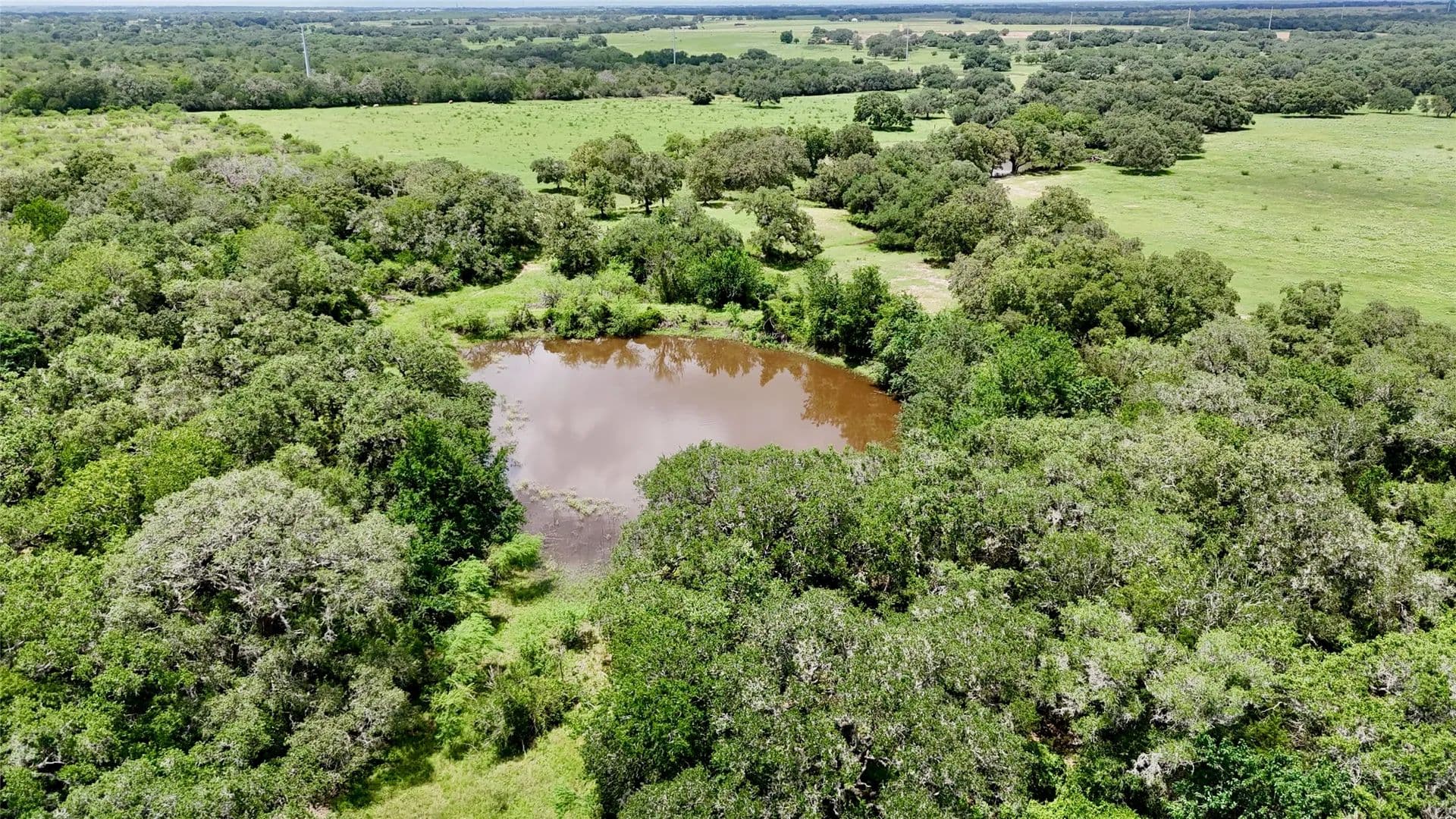 45.26 Acres of Land for Sale in Yoakum, TX - Yoakum, Texas, 77987