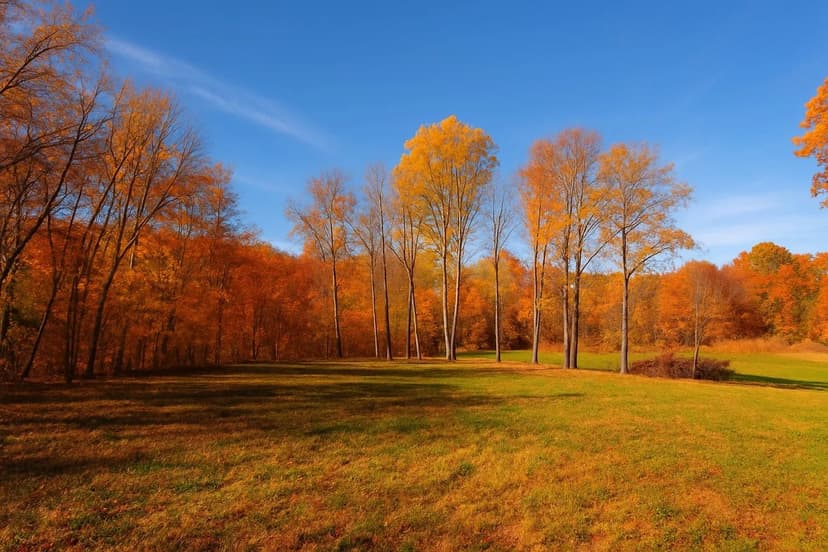 Vacant Land in Clarksville