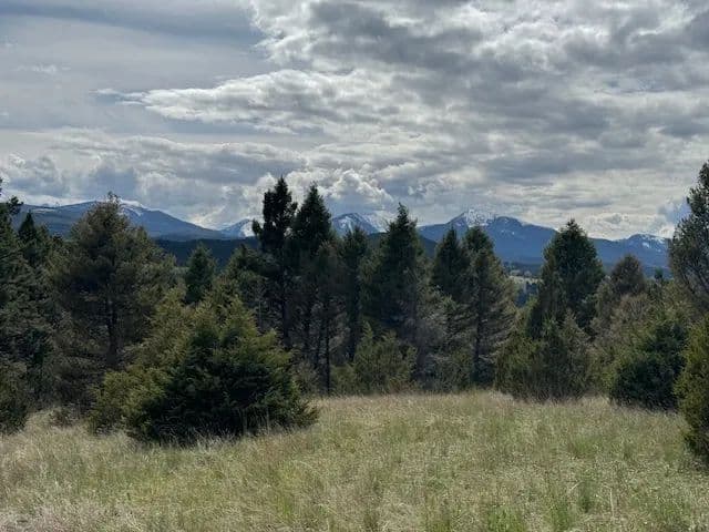 Vacant Land (0-10 Acres) in Deer Lodge