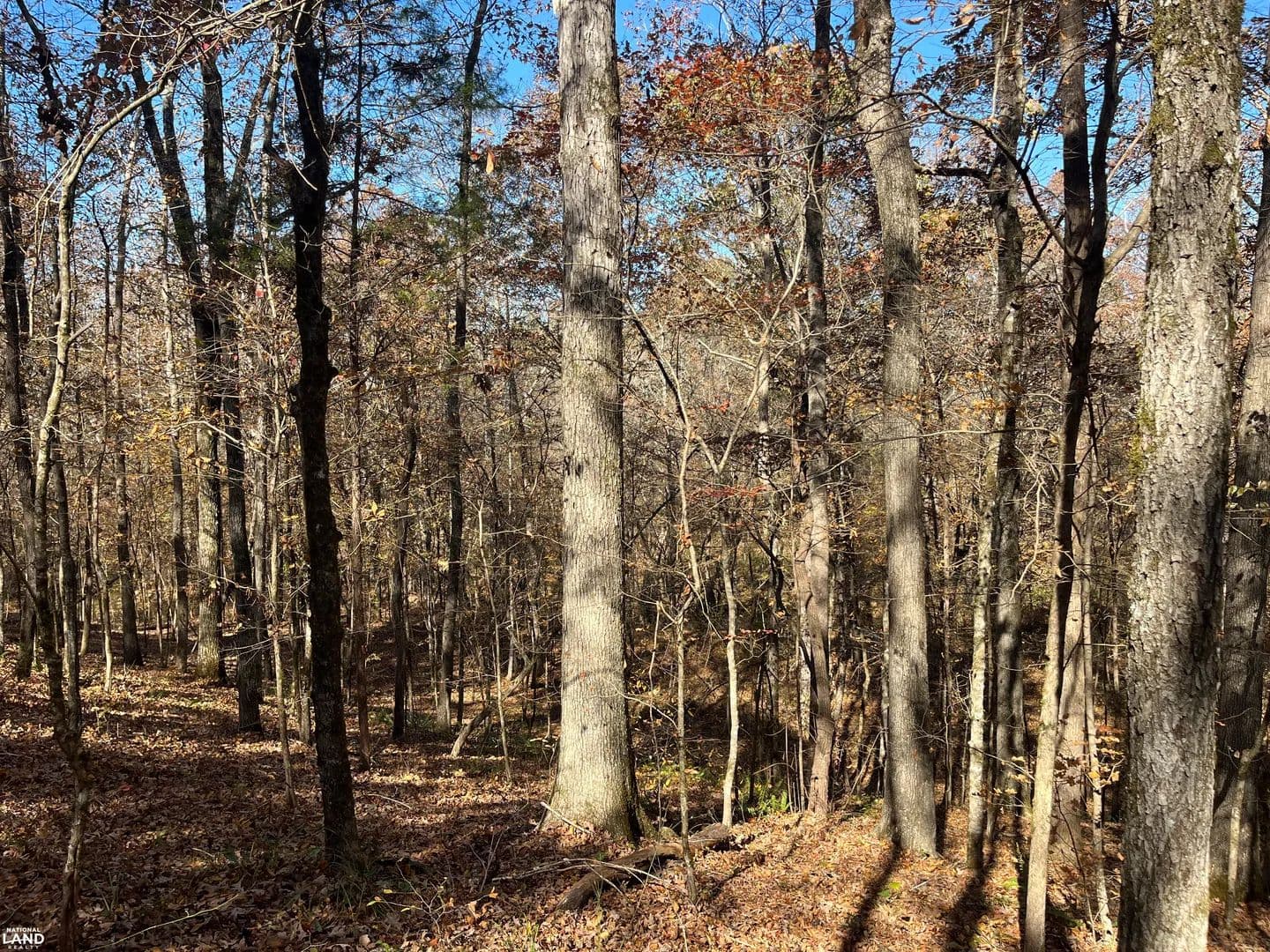 Fourmile Creek Homesite and Hunting - Wilsonville, Alabama, 35186