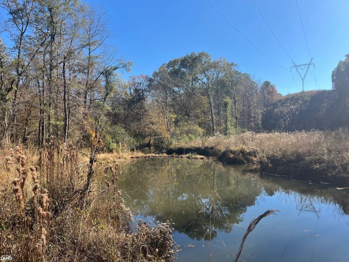Fourmile Creek Homesite and Hunting - Wilsonville, Alabama, 35186