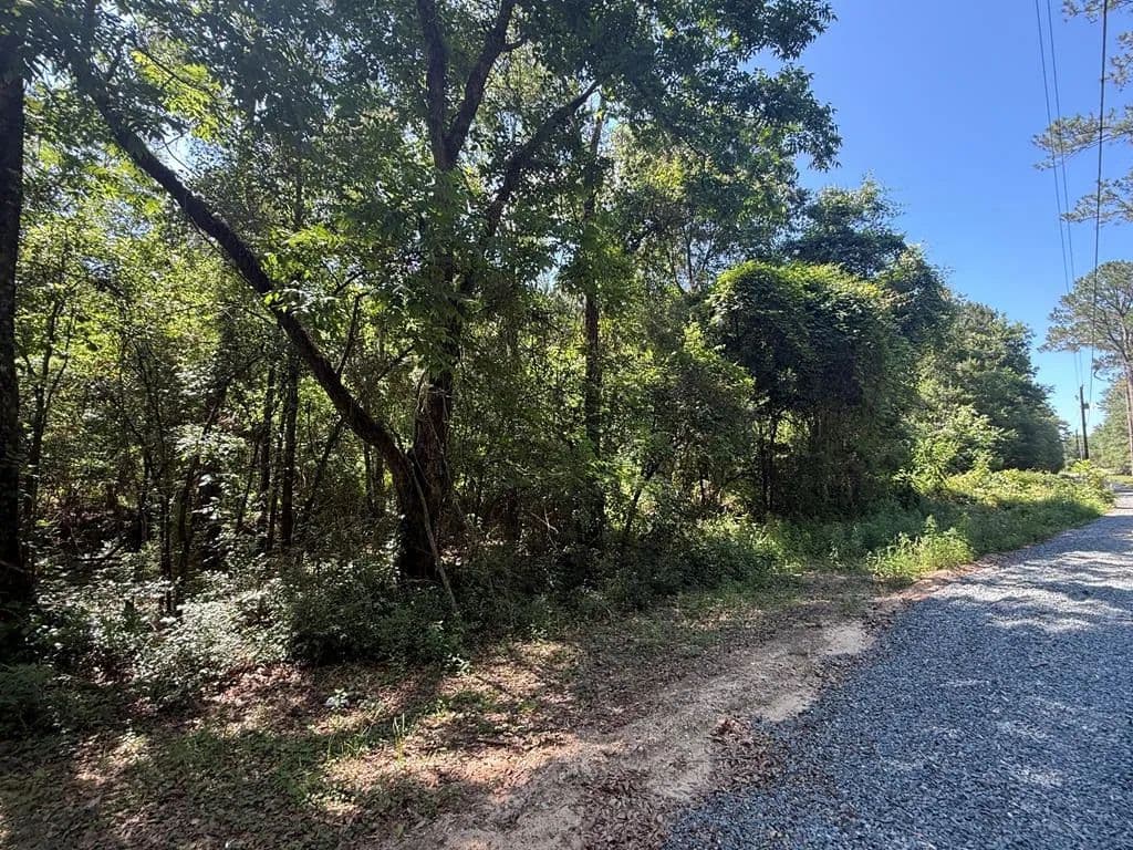 Vacant Land in Baconton - Baconton, Georgia, 31716