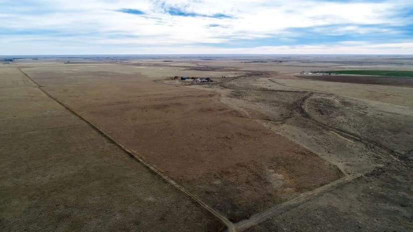 Wittman Quarters Online Auction