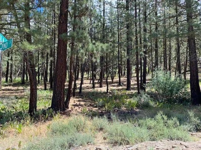 Vacant Land in Portola - Portola, California, 96122