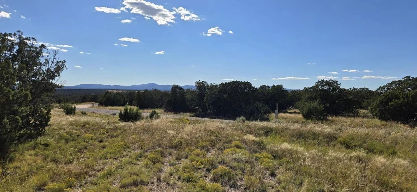 Lot 15 Swayback Trail - Corona, New Mexico, 88318