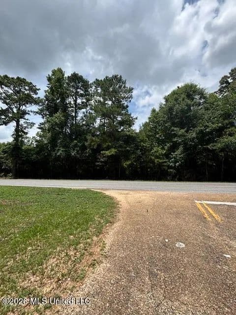 22 acres near Tylertown, Mississippi - land for sale