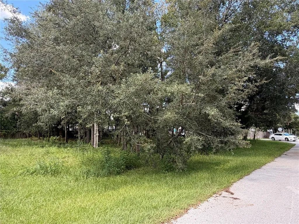 Vacant Land in Homosassa - Homosassa, Florida, 34448