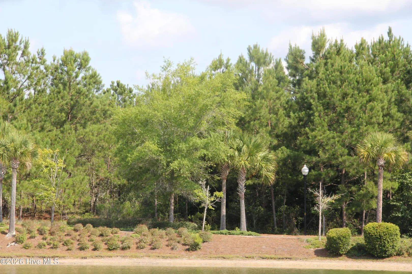 Vacant Land in Shallotte - Shallotte, North Carolina, 28470