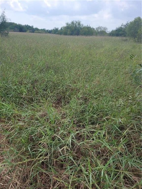 Property from 267 Vega - KW