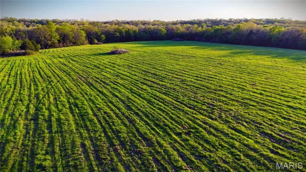 197 Acres of Land for Sale in Crocker, MO - Crocker, Missouri, 65452