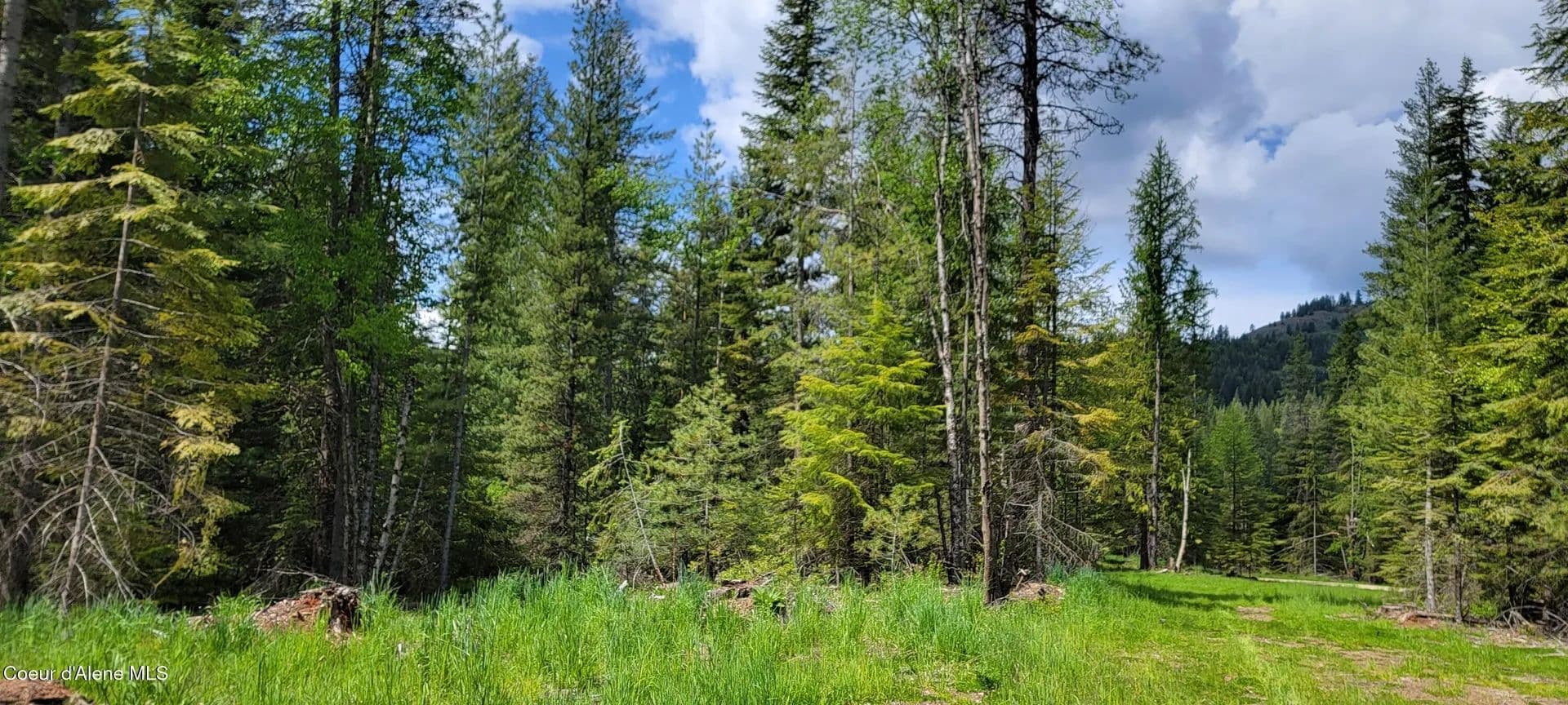 Property from NNA Pup Paw Trail - North - KW - Priest River, Idaho, 83856
