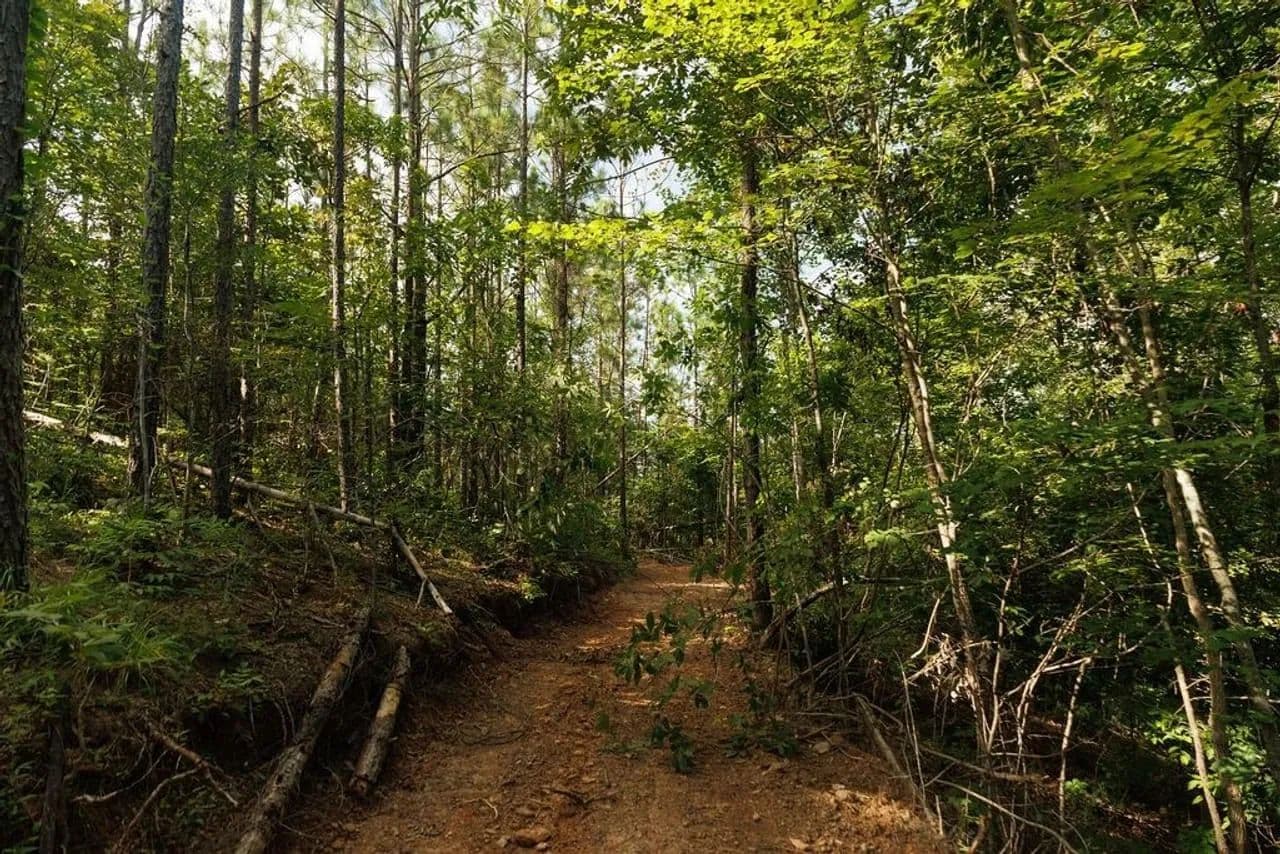 Big Rock 1- 125 Acres Chilton County, Alabama - Verbena, Alabama, 36000
