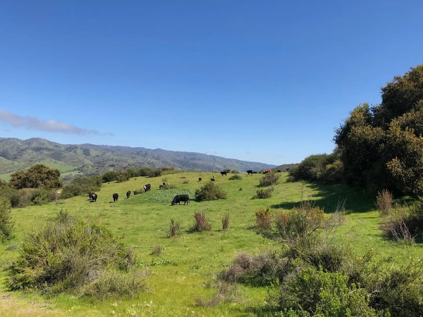 Vacant Land in Carmel Valley