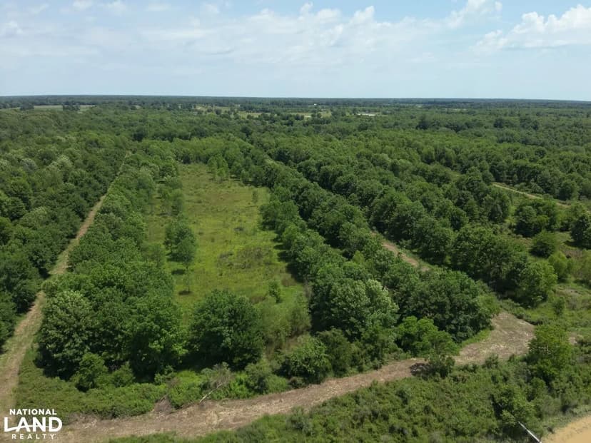 Franklin Parish Deer & Duck Camp