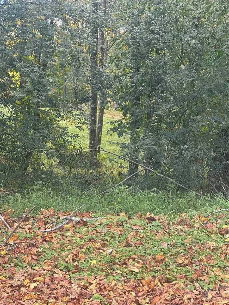 Vacant Land in North Wilkesboro - North Wilkesboro, North Carolina, 28659