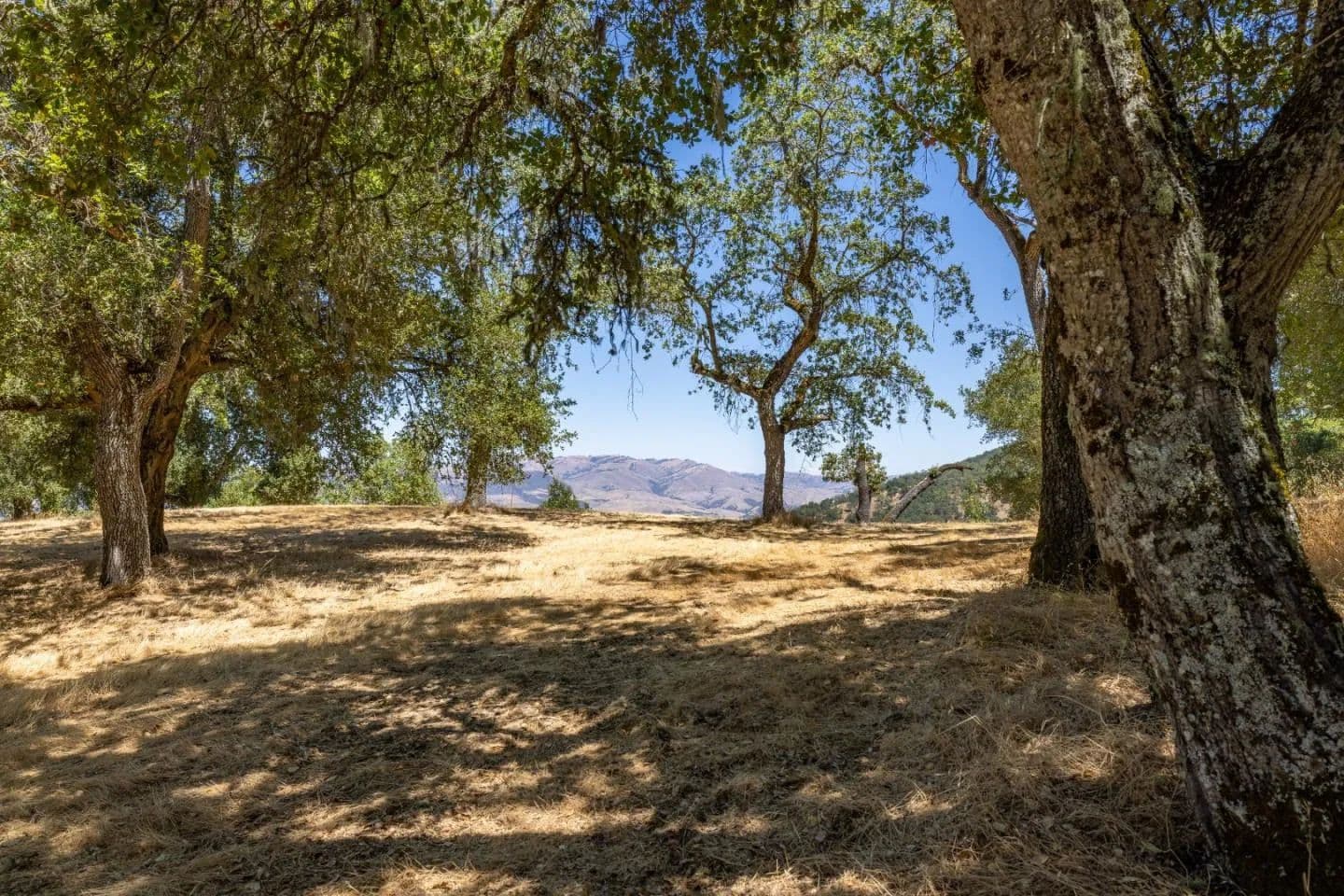 Vacant Land in Carmel - Carmel, California, 93923