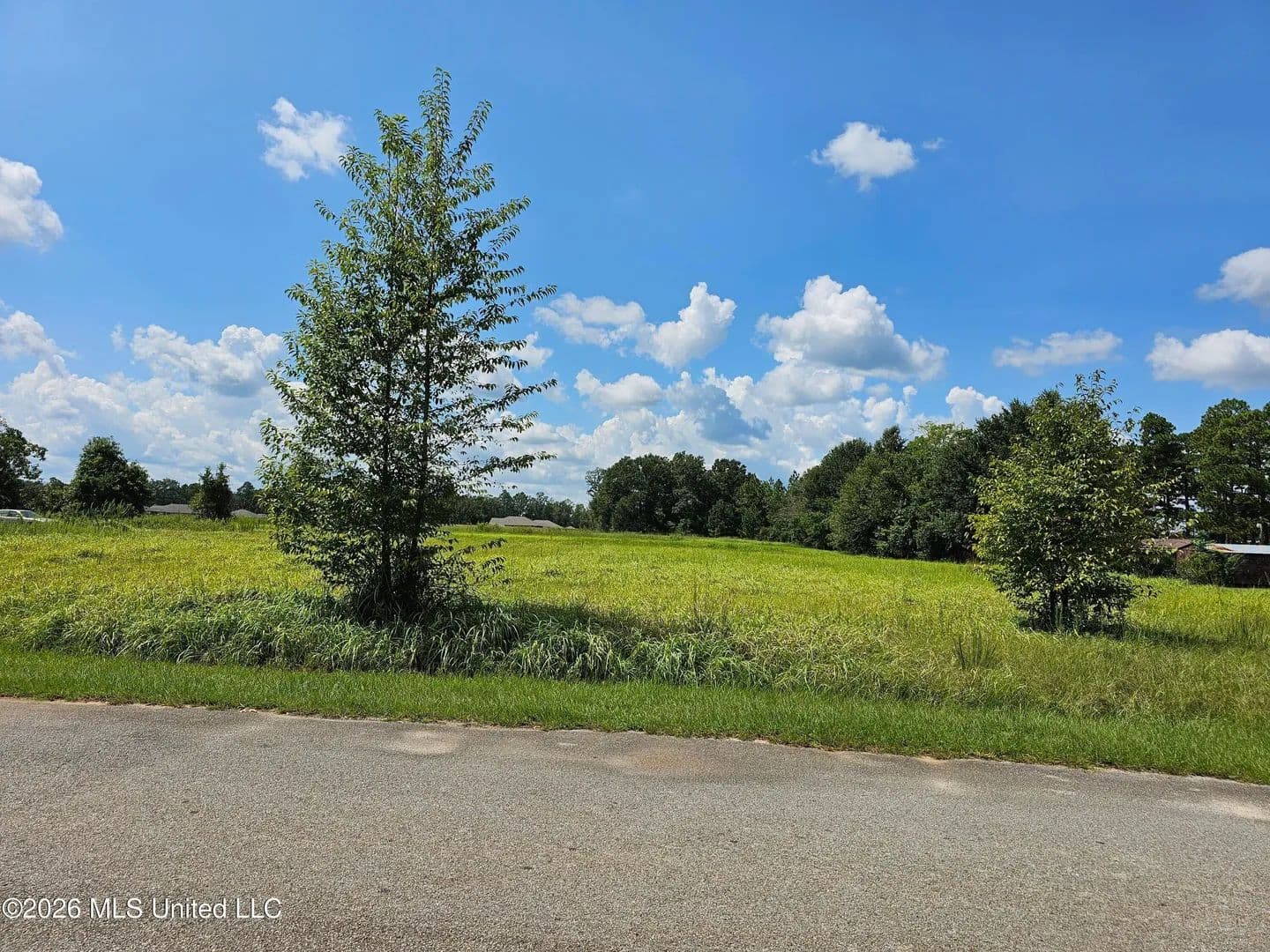 Lots & Land-Other in Lucedale - Lucedale, Mississippi, 39452